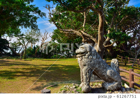 富盛の石彫大獅子 61267751