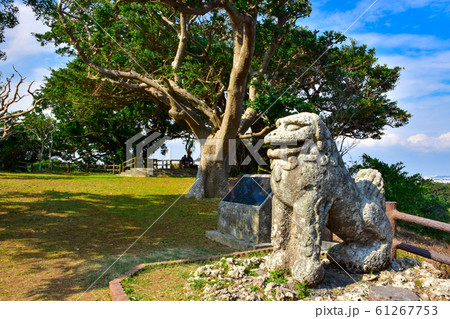 富盛の石彫大獅子 61267753