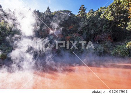 別府観光スポット　別府地獄めぐり　血の池地獄　温泉王国　おんせん県　イメージ 61267961