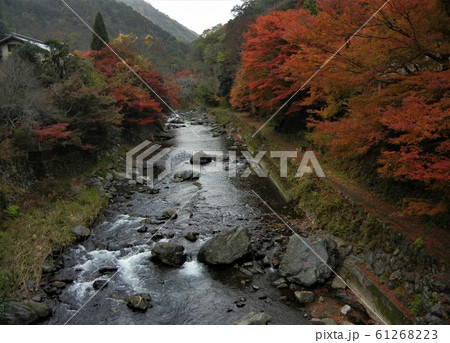 日本有数の紅葉の名所：京都嵯峨の清滝 61268223