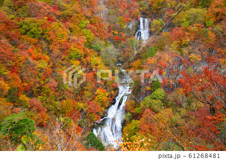 日光_霧降の滝_紅葉1 日光_霧降の滝_紅葉1 61268481