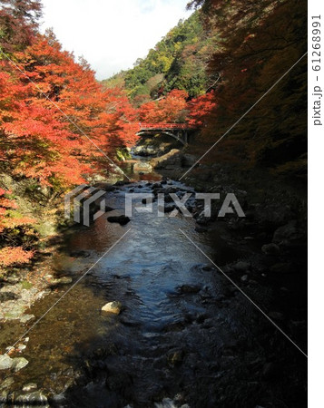 日本有数の紅葉の名所：京都嵯峨の清滝 61268991