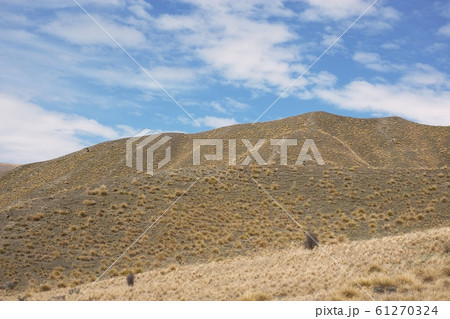 Lindis Pass , New Zealand , South Island Lindis Pass , New Zealand , South Island 61270324