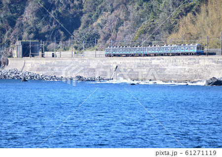 伊豆の海岸線を走る伊豆急8000系電車 伊豆の海岸線を走る伊豆急8000系電車 61271119