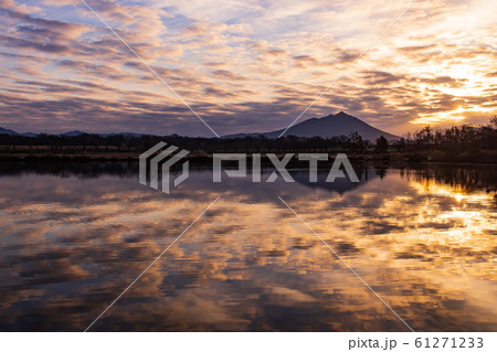 母子島遊水池の絶景 61271233
