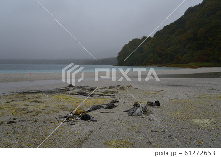 恐山の極楽浜 61272653