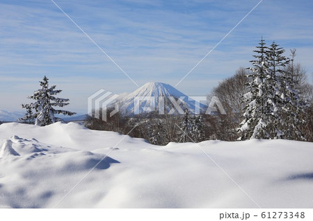 中山峠から見る冬の後方羊蹄山 61273348