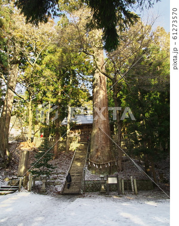 冬の霜降宮細野諏訪神社 冬の霜降宮細野諏訪神社 61273570
