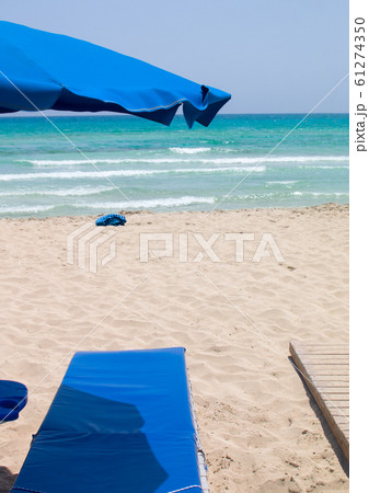 Beach and palm trees, sunny day Cyprus 61274350