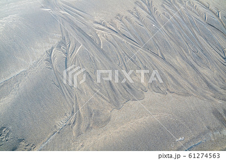 Sand surface with irregural wind pattern after storm 61274563