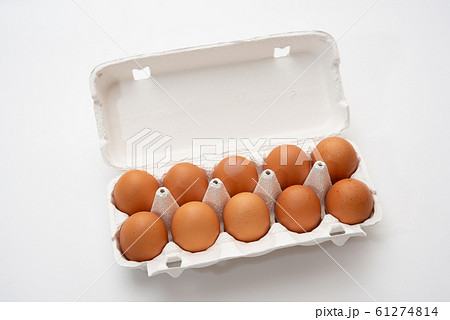 有精卵　鶏卵 61274814