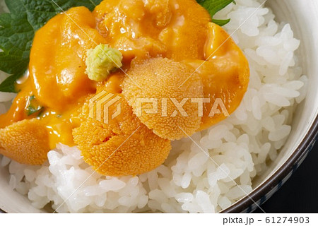 新鮮な雲丹のイメージ写真 61274903