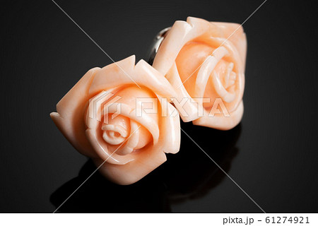 ピンク珊瑚 61274921