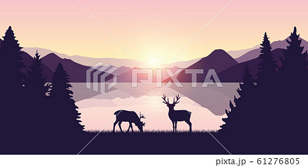 two reindeers by the lake at sunrise wildlife nature landscape 61276805
