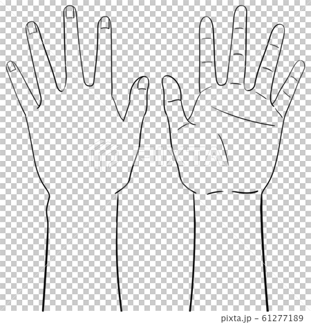 [人體插圖系列]手掌/背套 61277189