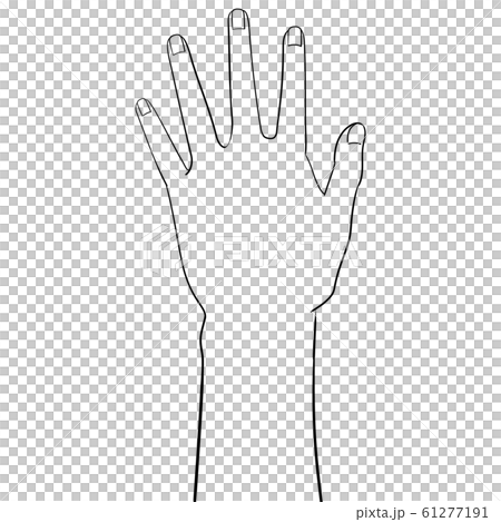 [Human body illustration series] Back of hand 61277191