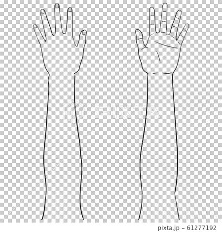 [Human body illustration series] Palm / back set 61277192