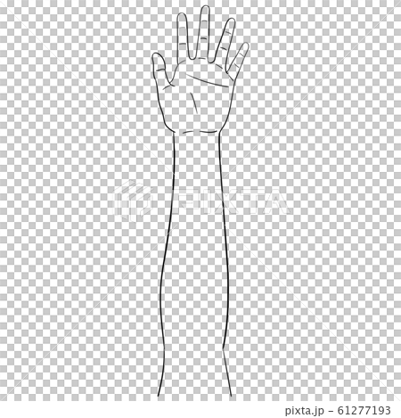 【人体イラストシリーズ】手の平 61277193