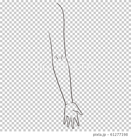 [Human body illustration series] Arms 61277198