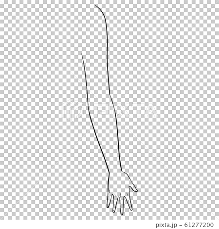 [Human body illustration series] Arms 61277200