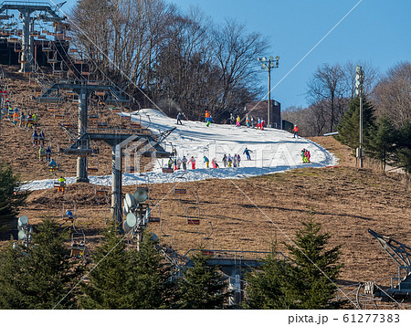 暖冬で人工スキーのみの営業となった奥神鍋スキー場 61277383