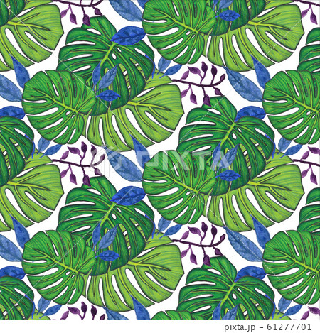 Seamless pattern with monstera leaves 61277701