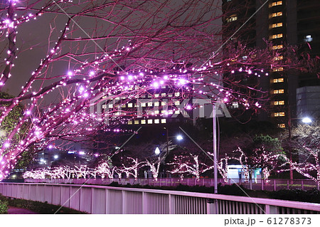目黒川のイルミネーション　 61278373