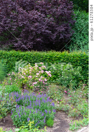 Walk through the Tiergarten park Walk through the Tiergarten park 61278384
