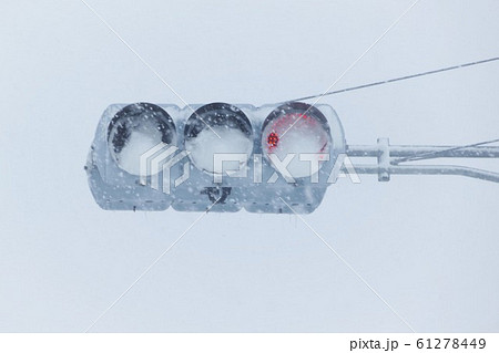 着雪したLED信号機 61278449
