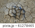 Texture of dry desert, background 61278465