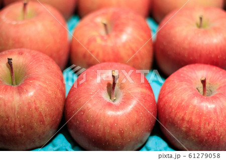 たくさんのふじりんご　アップ 61279058