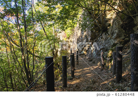 紅葉の天覧山 岩場付近の登山道 紅葉の天覧山 岩場付近の登山道 61280448