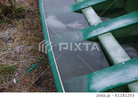 Frozen water in broken green boat on the bank of the river Frozen water in broken green boat on the bank of the river 61281203