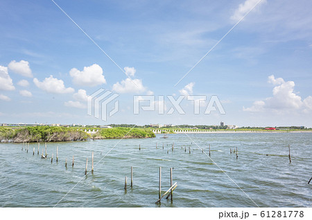 oyster farm in the sea 61281778