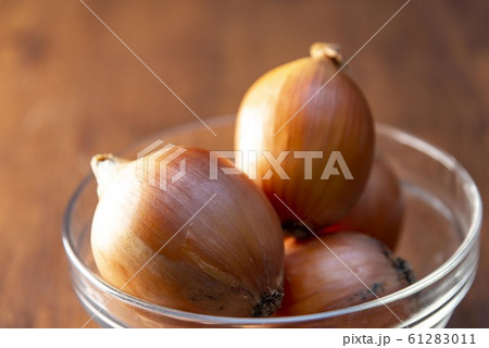 新鮮な玉ねぎのイメージ 61283011