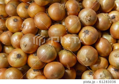 新鮮な玉ねぎのイメージ 61283036