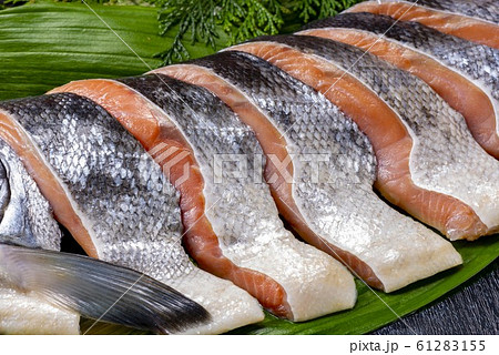 美味しい鮭の切り身 61283155