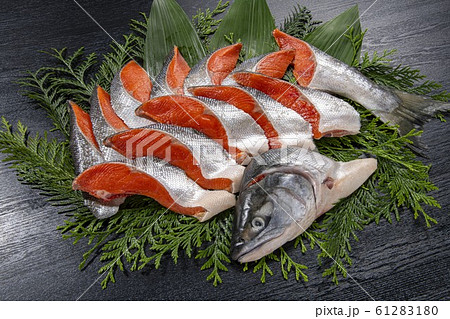 美味しい鮭の切り身 61283180