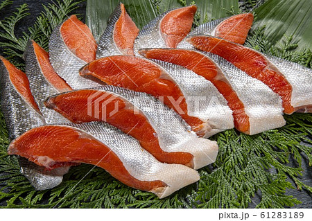 美味しい鮭の切り身 61283189