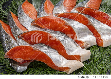 美味しい鮭の切り身 61283190