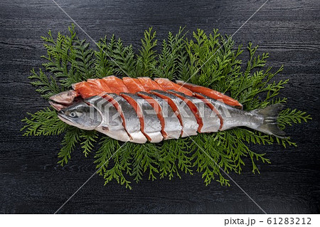 美味しい鮭の切り身 61283212