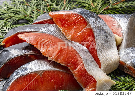 美味しい鮭の切り身 美味しい鮭の切り身 61283247