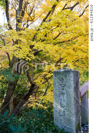 三景園もみじ12 61284810