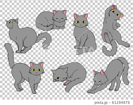 灰猫ポーズのイラスト素材