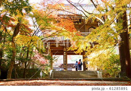 功山寺の紅葉 功山寺の紅葉 61285891