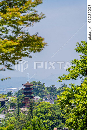 宮島15 宮島15 61286038