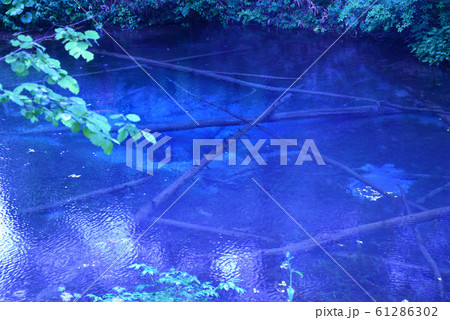 雨の日の神の子池(北海道清里町) 61286302