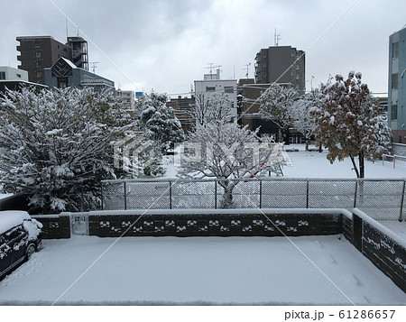 雪の日の朝 雪の日の朝 61286657