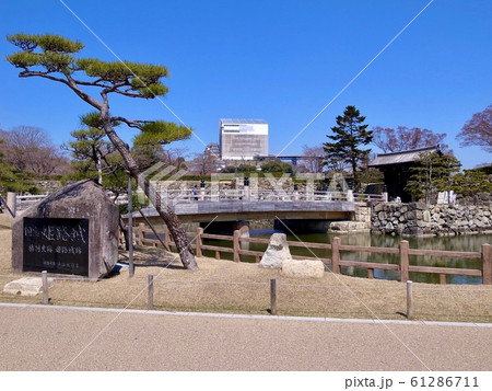 【兵庫】春の姫路城(平成の大修理) 【兵庫】春の姫路城(平成の大修理) 61286711