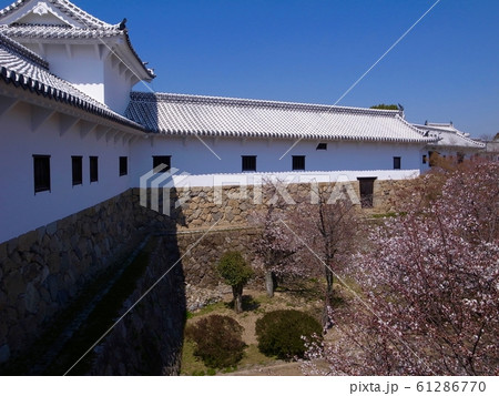 【兵庫】春の姫路城(平成の大修理) 【兵庫】春の姫路城(平成の大修理) 61286770